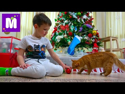 Видео: Макс наряжает ёлку на Новый Год 2017