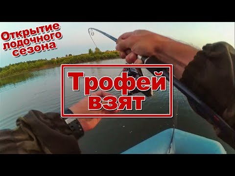 Видео: Как ловить щуку и окуня в пруду летом | стресс тест Dodger 752L | Трофейная щука
