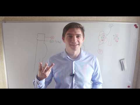 Видео: Ствол и черепно-мозговые нервы - часть 1 (III - VI пара)