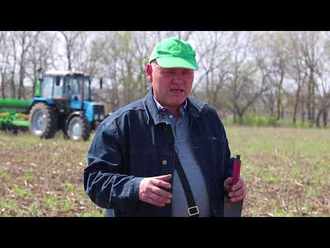 Видео: Отзыв клиента VELES AGRO об обновлённый модификации сеялки СЗМ-6 НИКА