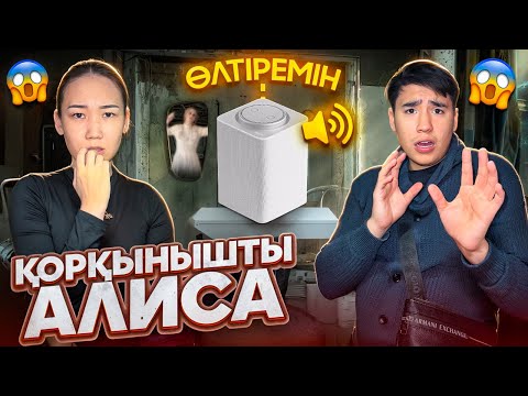 Видео: Алисаға қорқынышты сұрақтар қойдық,Өзімен өзі қосылды😱