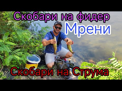 Видео: СКОБАРИ и МРЕНИ на РЕКА СТРУМА! РИБОЛОВ на ФИДЕР И БОЛОНЕЗЕ! ПОКАЗВАМ МОНТАЖ