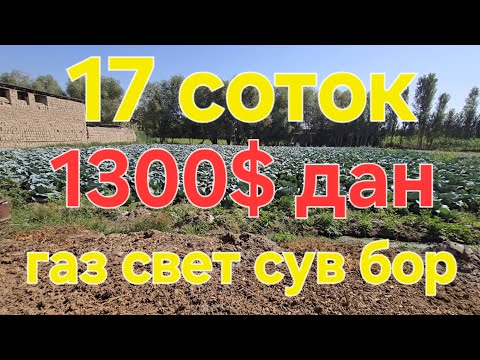 Видео: Участка сотилади 1 сотиги 1300 дан газ свет сув бор 