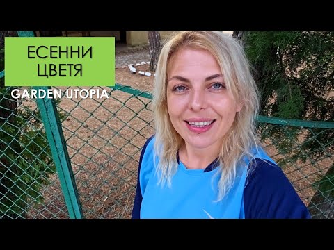 Видео: Есенно засаждане на ТЕМЕНУЖКИ | Отвъд оградата