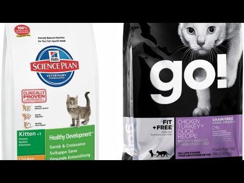 Видео: Холистики VS "Проверенные". Что я считаю правильным?