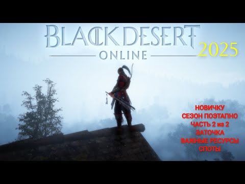 Видео: BLACK DESERT НОВИЧКУ! СЕЗОН ПОЭТАПНО! Часть 2 из 2х #bdo #blackdesert #blackdesertPVE #bdo гайд