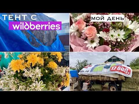 Видео: Сельская жизнь/Мой праздник/Очень подвел/Спасать надо/