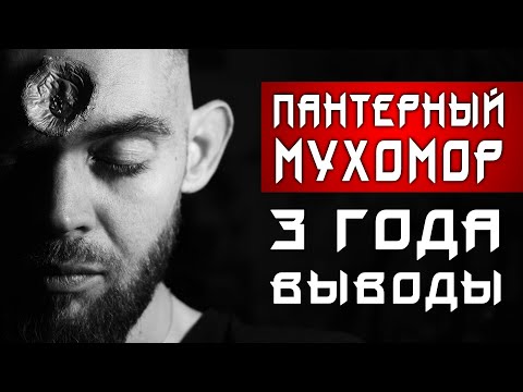 Видео: ПАНТЕРНЫЙ МУХОМОР - ПОЛНЫЙ РАЗБОР (Эффекты | Дозировки | Личный опыт)