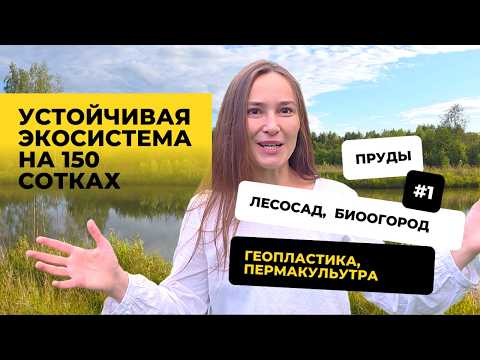 Видео: Превратила болото в Райский сад. Секрет устойчивой экосистемы на 150 сотках.