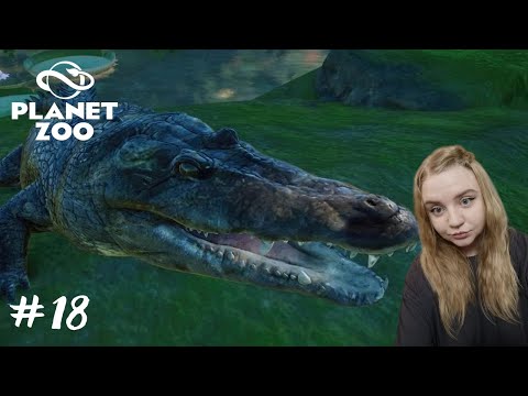 Видео: Купили крокодила, назвали Базука  ➤Planet Zoo #18