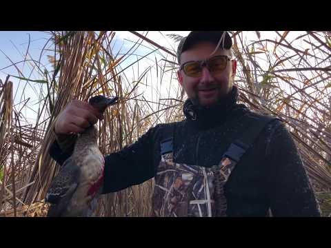Видео: Охота на утку . Северная утка прилетела.Сбили много . Готовим шурпу с дикой утки/Duck hunting