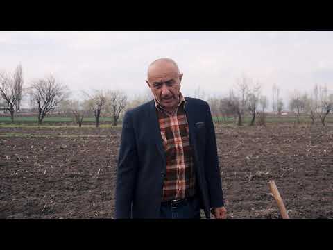 Видео: Парвариши картошка.