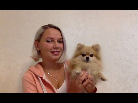 Видео: Прохождение ВЛЭК в Аэрофлот (часть 2) - Внуково