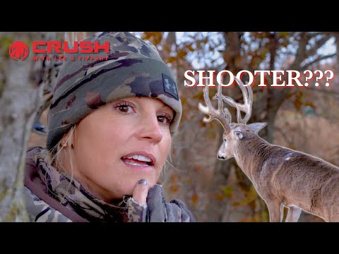 Видео: НЕДЕЛЯ ГОНА!! (НЕРЕАЛЬНАЯ ВСТРЕЧА!!)