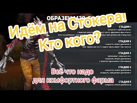 Видео: DOZ/Стокер Гайд! Фармим комфортно! Быстро Четко