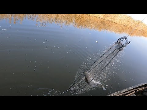 Видео: рыбалка на хапугу летом с лодки рекомендую посмотреть