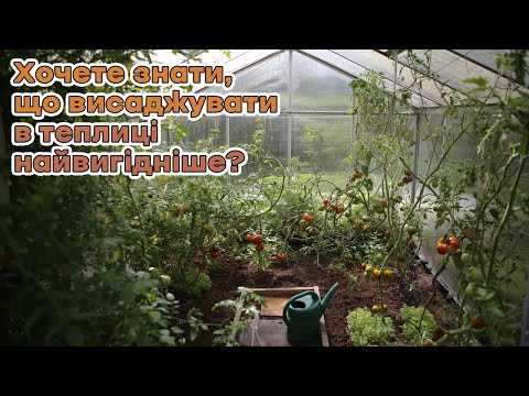 Видео: Хочете знати, що висаджувати в теплицю найвигідніше?