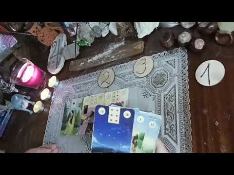 Видео: Висша Справедливост 2