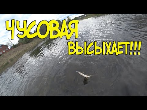 Видео: Чусовая, рыбы нет!