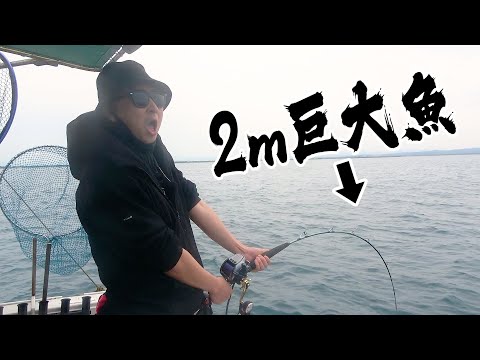 Видео: Использовал гигантского ази как наживку – поймал монстра!