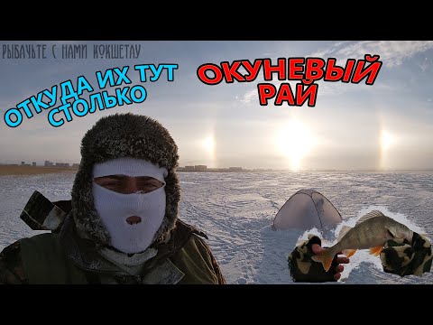 Видео: ОКУНЕВЫЙ РАЙ\8кг РЫБЫ С ОДНОЙ ЛУНКИ ЗА 1.5 часа\Зимняя рыбалка 2020-2021 Казахстан Кокшетау оз Копа
