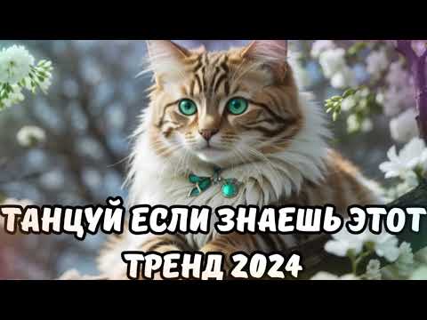 Видео: 💗ТАНЦУЙ ЕСЛИ ЗНАЕШЬ ЭТОТ ТРЕНД 2024💗