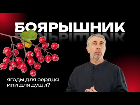 Видео: Боярышник: ягоды для сердца или для души?