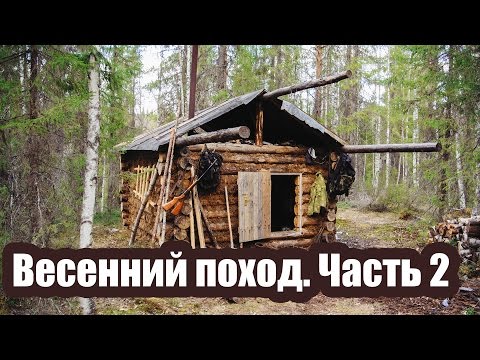 Видео: Поход в лес. Тайга весной. (лосиные места, красота, охота) Часть 2/2