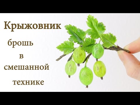 Видео: Крыжовник - создаем веточку с ягодами в смешанной технике из холодного фарфора и эпоксидной смолы