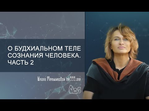Видео: О будхиальном теле сознания человека. Часть 2
