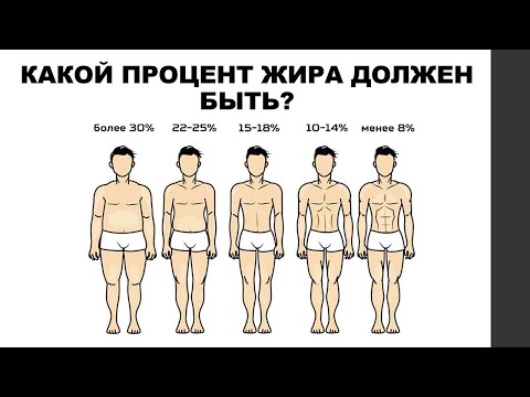 Видео: лекция: КАКОЙ ПРОЦЕНТ ЖИРА ДОЛЖЕН БЫТЬ?