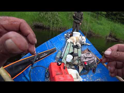 Видео: ..рыбачим на реке с Пашей. 24.06.25 г.