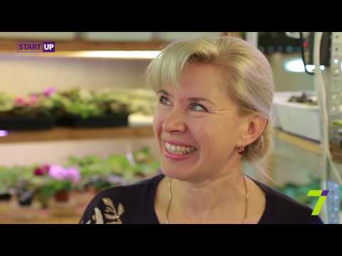 Видео: Фиалки