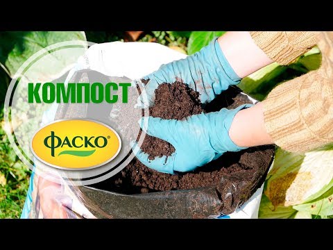 Видео: Компост на основе конского навоза 🌟 ФАСКО 🌟