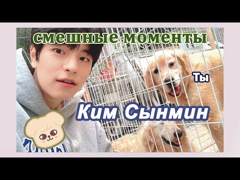 Видео: ким сынмин смешные моменты | Сынмин из Stray Kids