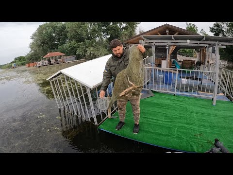 Видео: Гадючья балка 🐟​ Рубрика голодные дачники Июнь 2022.  Чистим днепр от браконьерских сетей