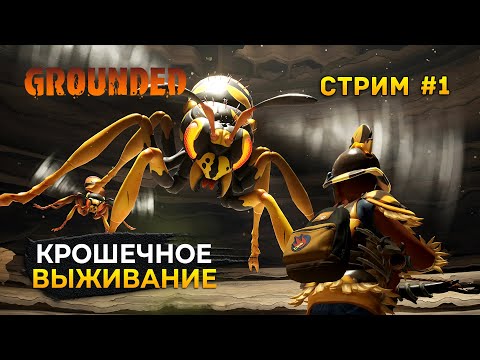 Видео: Стрим Grounded #1 - Крошечное Выживание. В мире насекомых (Первый Взгляд)