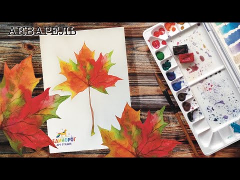 Видео: Акварель для начинающих. Уроки рисования. Просто рисуем. Как нарисовать осень. Кленовый лист.