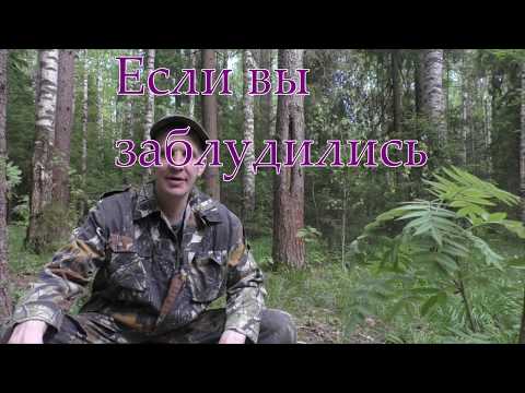 Видео: Если вы заблудились