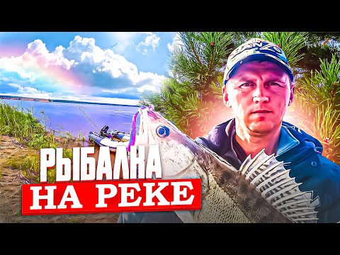 Видео: Простая рыбалка на реке. Спиннинг. Заехал на остров!