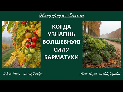 Видео: Барматуха :  первый опыт и первый результат №76/25
