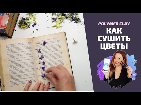 Видео: Как сушить цветы?