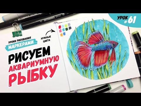 Видео: Как нарисовать аквариумную рыбку? / Видео-урок по рисованию маркерами для новичков #61