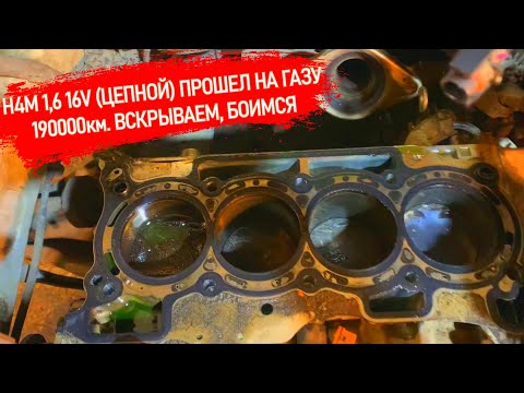 Видео: H4M ПРОШЕЛ НА ГАЗЕ 190000 КМ. РЕМОНТ ГБЦ. РЕГУЛИРОВКА КЛАПАНОВ, СОСТОЯНИЕ РАСПРЕДВАЛОВ.#БУДНИСЕРВИСА
