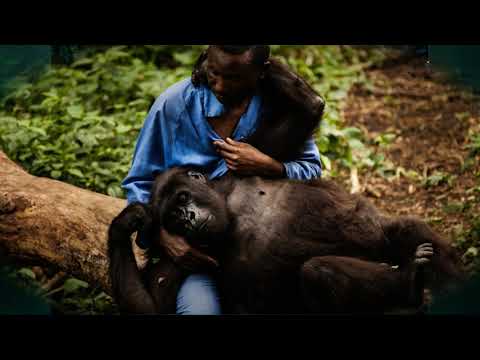 Видео: §27 "Регионы Африки: Центральная, Восточная и Южная Африка", География 7 класс ч.1, Домогацких