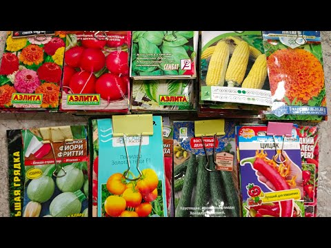 Видео: Обзор семян на сезон 2024. Что будем сеять в следующем году. Выращиваем город на подоконнике.