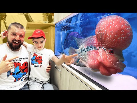 Видео: Най-умната риба в света Flowerhorn!!! СИСУ