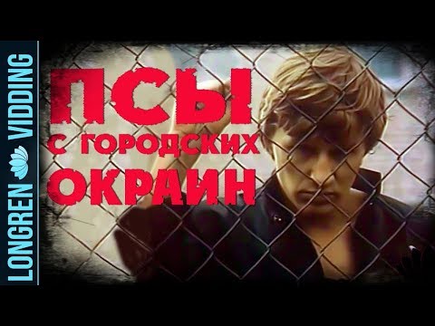 Видео: Чайф - Псы с городских окраин