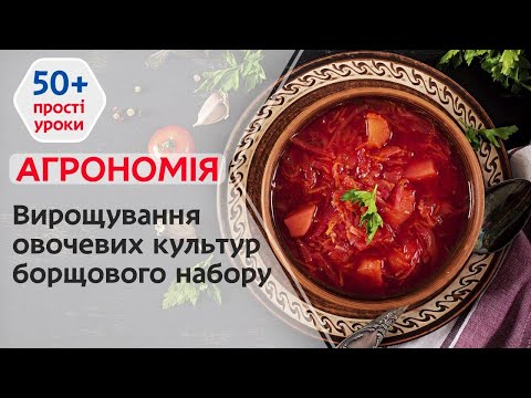 Видео: Як виростити гарні овочі для борщу