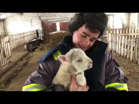 Видео: Кайтып киләм балачак юлларыма...